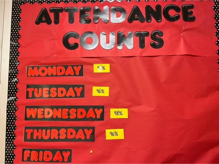 daily attendance percentage