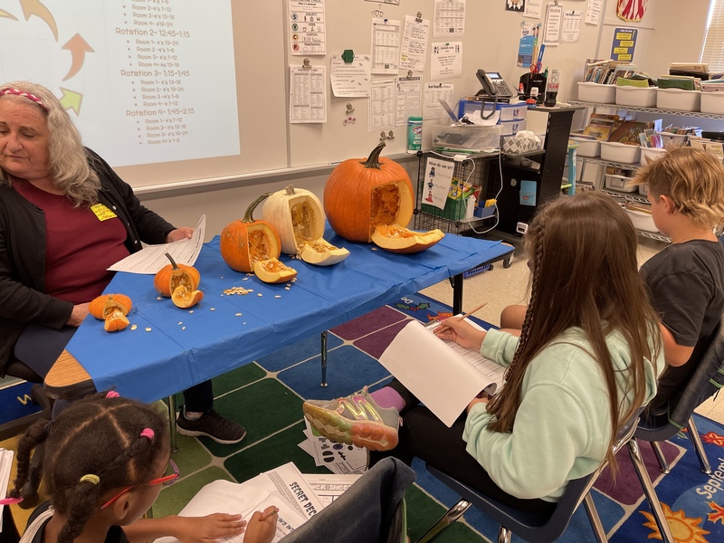 3rd Grade Pumpkin Investigation | Lindsay Elementary School